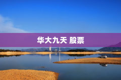 华大九天 股票