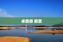 卓胜微 股票