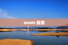 zoom 股票