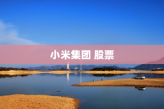 小米集团 股票