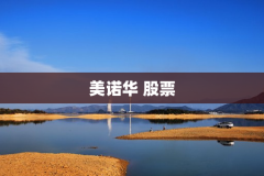 美诺华 股票