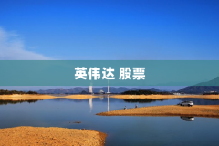 英伟达 股票