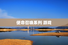 使命召唤系列 游戏