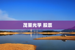 茂莱光学 股票