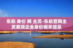 东航 身价 网 主页-东航官网主页展现企业身价相关信息