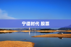 宁德时代 股票