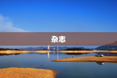 杂志