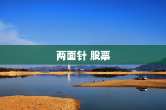 两面针 股票