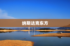 纳斯达克东方
