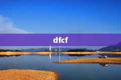 dfcf