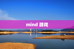 mind 游戏