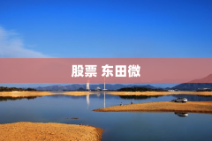 股票 东田微