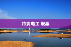 特变电工 股票