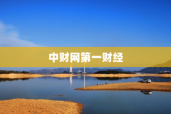 中财网第一财经