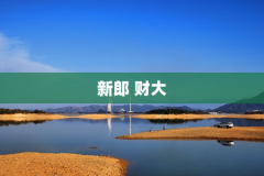 新郎 财大