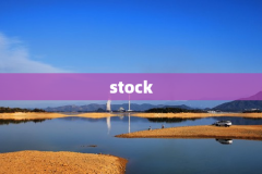 stock