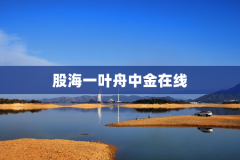 股海一叶舟中金在线