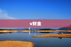 v财金
