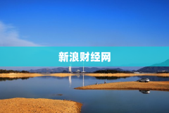 新浪财经网