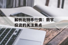 解析比特币行情：数字投资的关注焦点