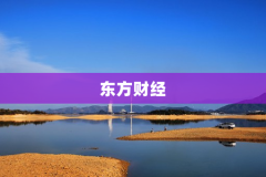 东方财经