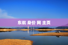 东航 身价 网 主页
