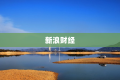 新浪财经