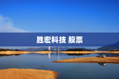 胜宏科技 股票