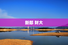 新郎 财大
