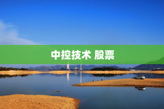 中控技术 股票