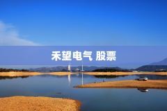 禾望电气 股票