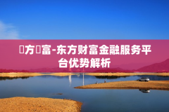 東方財富-东方财富金融服务平台优势解析