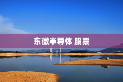 东微半导体 股票