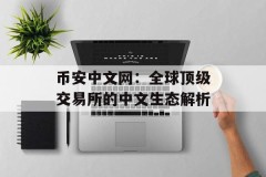 币安中文网：全球顶级交易所的中文生态解析