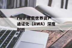 rwa-现实世界资产通证化（RWA）深度剖析