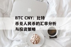 BTC CNY：比特币兑人民币的汇率分析与投资策略