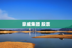 豪威集团 股票