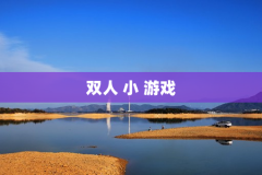 双人 小 游戏
