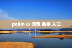 pokin 小 游戏 免费 入口