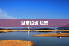湖南投资 股票