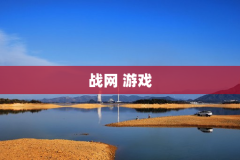战网 游戏