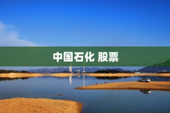 中国石化 股票