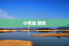 小花仙 游戏