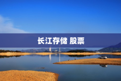 长江存储 股票