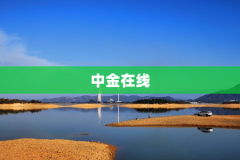 中金在线