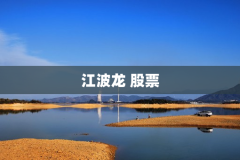江波龙 股票