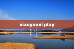 xiaoyouxi play