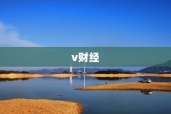 v财经