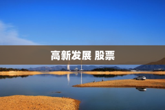 高新发展 股票