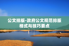 公文排版-政府公文规范排版格式与技巧要点